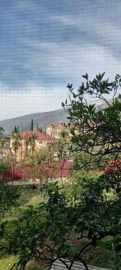 У Людмилы Gagra Bagian luar foto